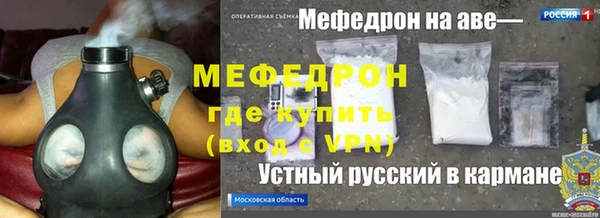сатива Инсар
