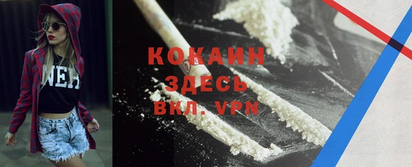 стаф Алексин