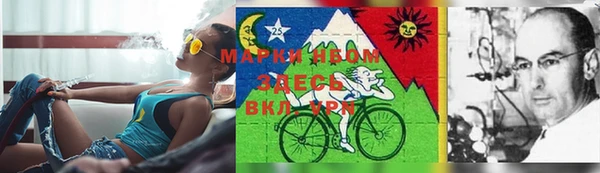 сатива Алексеевка
