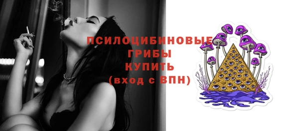 стаф Алексин
