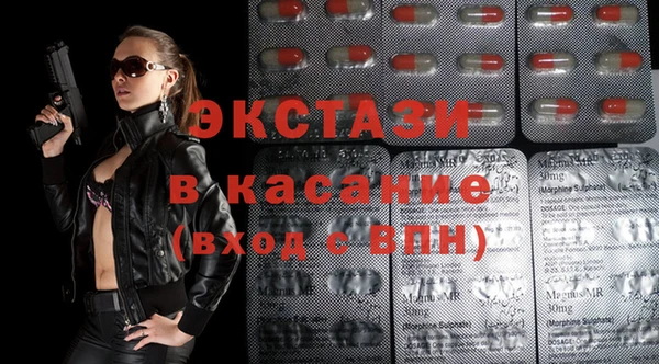стаф Алексин