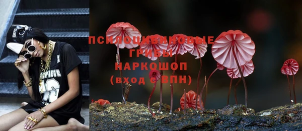 стаф Алексин