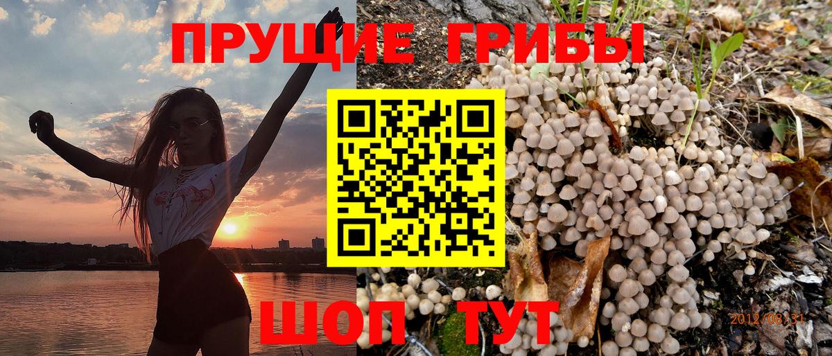 Псилоцибиновые грибы мицелий  Вход с VPN  купить наркотик  Нефтекамск 